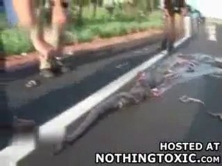 Anaconda deja crias en carretera