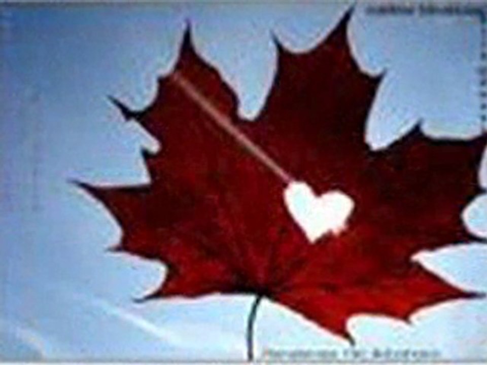 JusterBrooks - SensizLık Başıma Dert oLdu