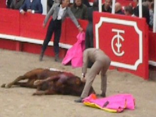 CORRIDA : graine de toréro 2010 Générac... L'HORREUR 2
