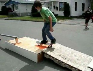 Skate and Destroy The Video