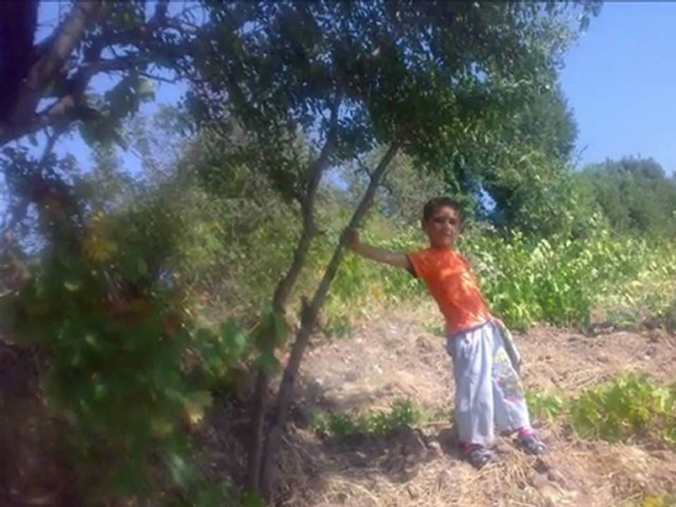 SADIK ARAYICIN ANISINA 1
