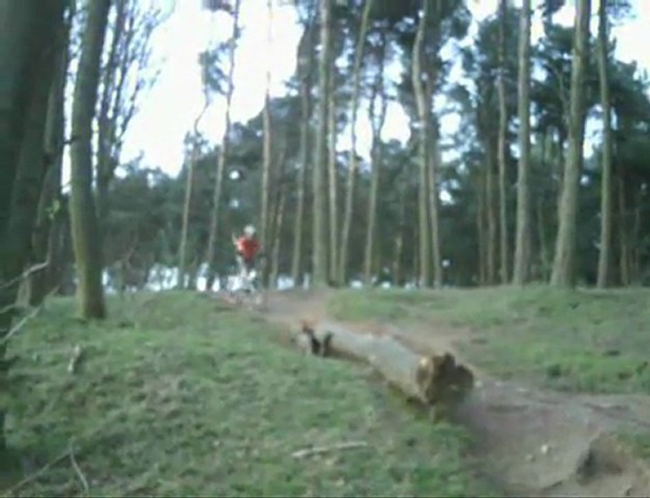 Log ride drop