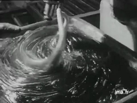 Franche Comté actualités - Les établissements Unimel - 1966