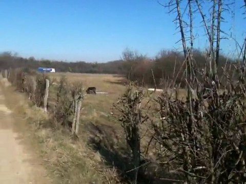 Enox de la rivière du nant en quête