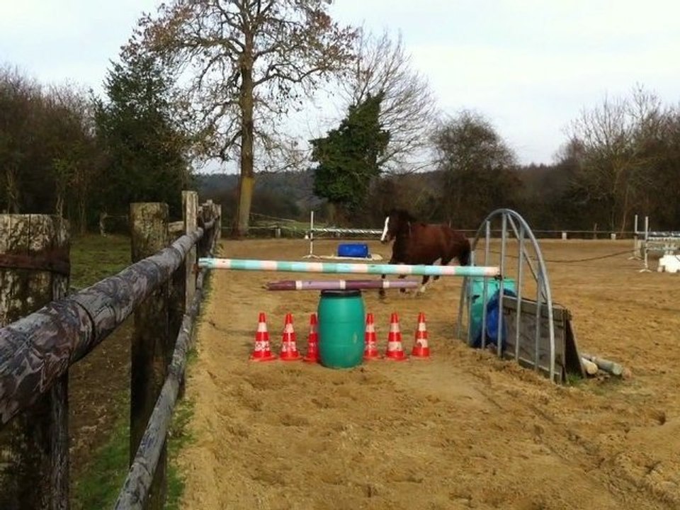 stand up ponette a vendre