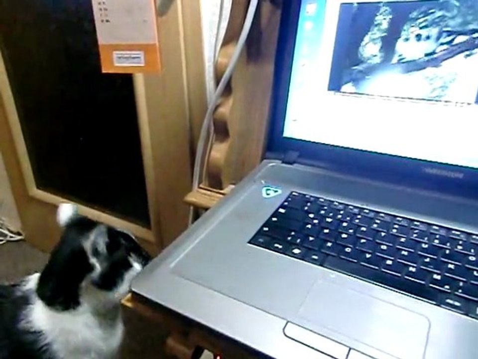 Mein neuer Systemmanager