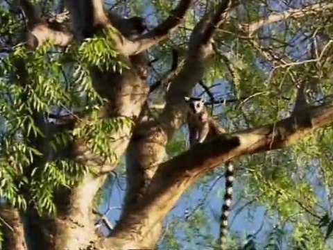 GILLES plantait des arbres- PART 2