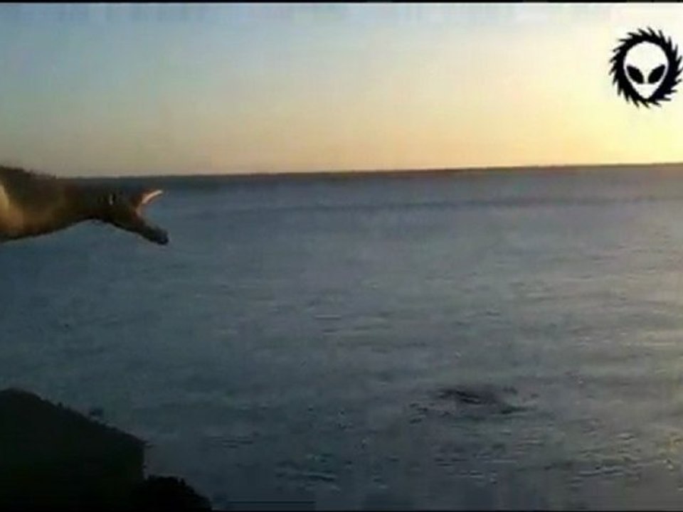 El mejor video del Nahuelito Febrero 2011