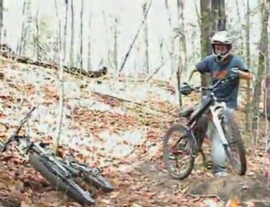 Dagmar Section