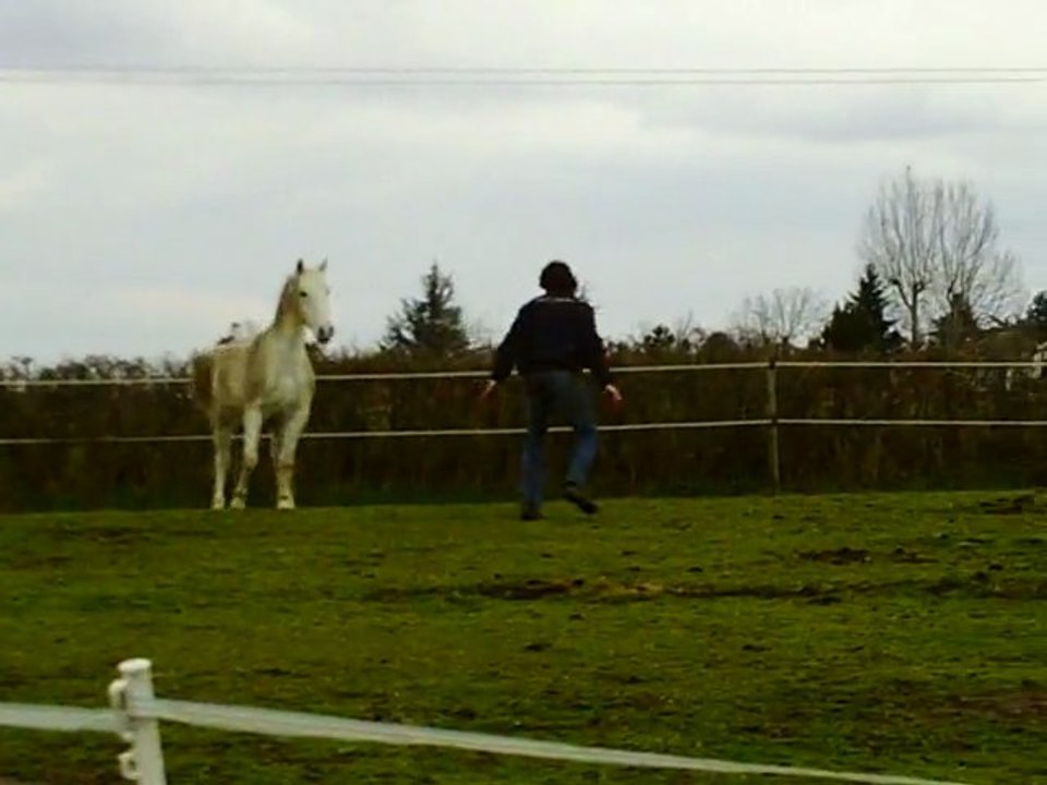 conversano : 20 février 2011
