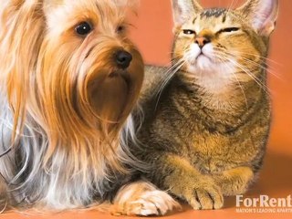 Jenny Tower Apartments in Miami, FL - ForRent.com