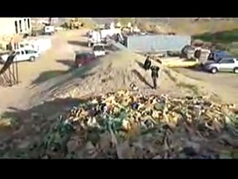 Kyle Loza's Electric Death