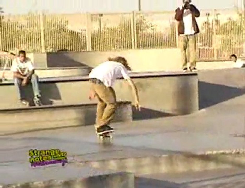 A day in the park