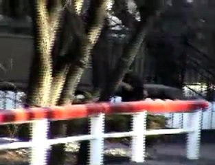Tight Turns DH Longboard Demo