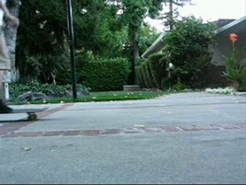 Varial flip