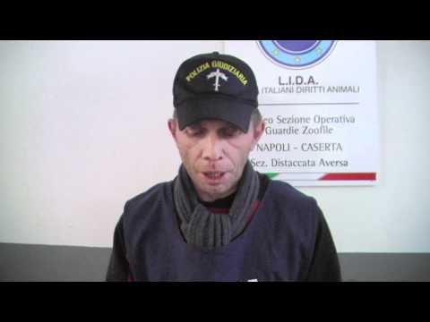 Aversa - Le Guardie LIDA sequestrano il Parco Pozzi