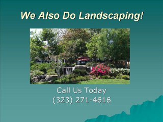 Los Angeles Tree Removal and Landscaping