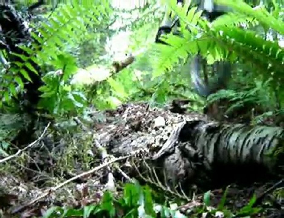 squamish bike vid