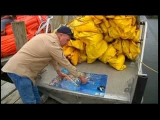 Louisiana - Il petrolio arriva sulla costa