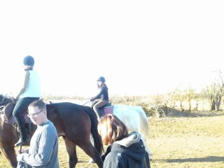 L'Equitation toute une Passion