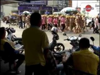 Thailandia - Campagna WWF per salvate le tigri