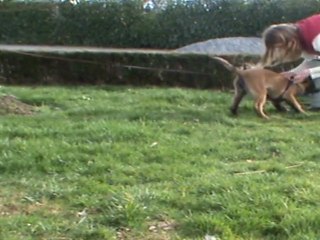 Fripouille jambière 3 mois