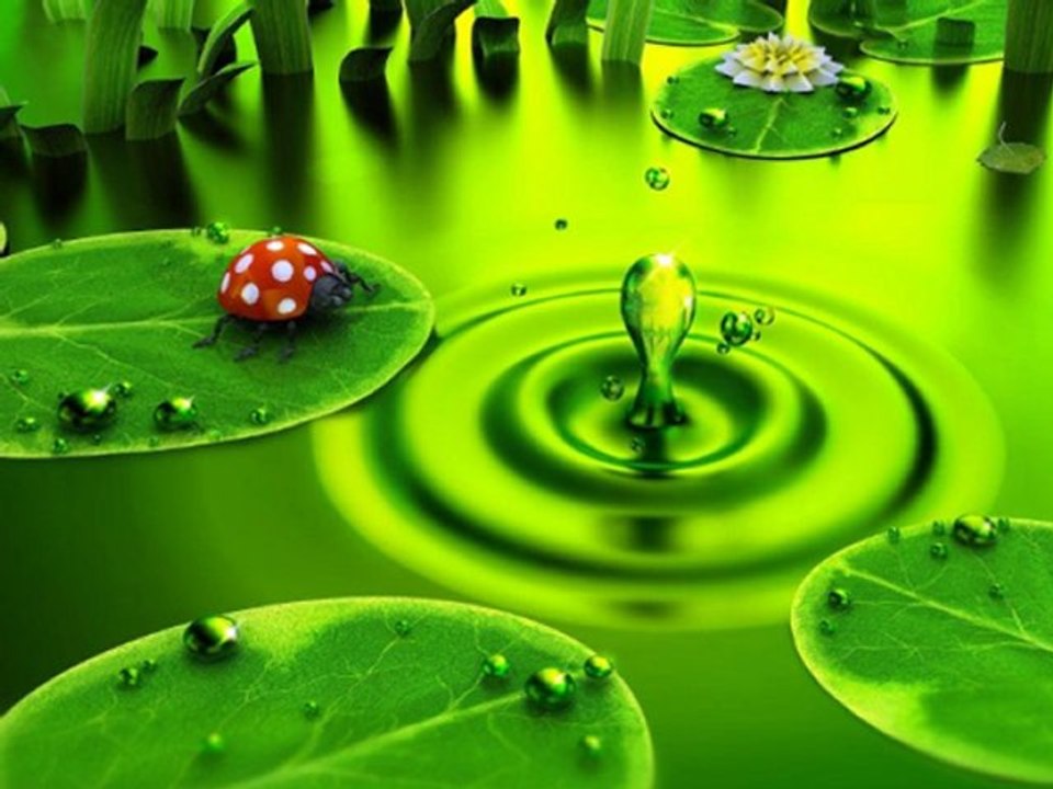 FARIBORZ LACHINI - UNDER THE RAIN