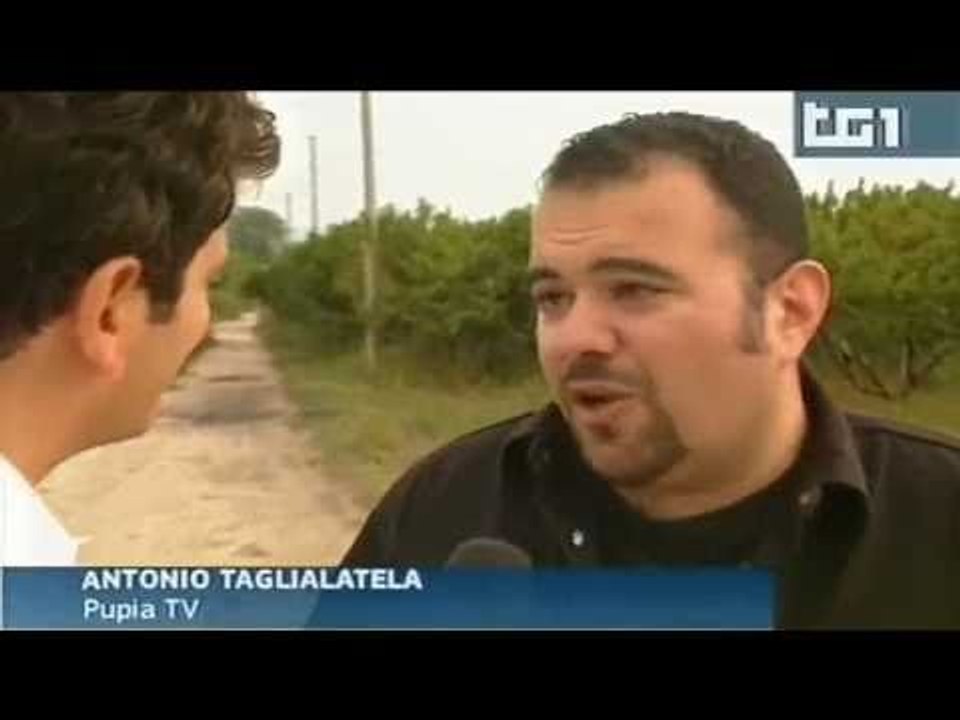 Frignano (CE) - Sangue nei Regi Lagni - Tg1