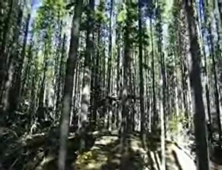 Just some biking