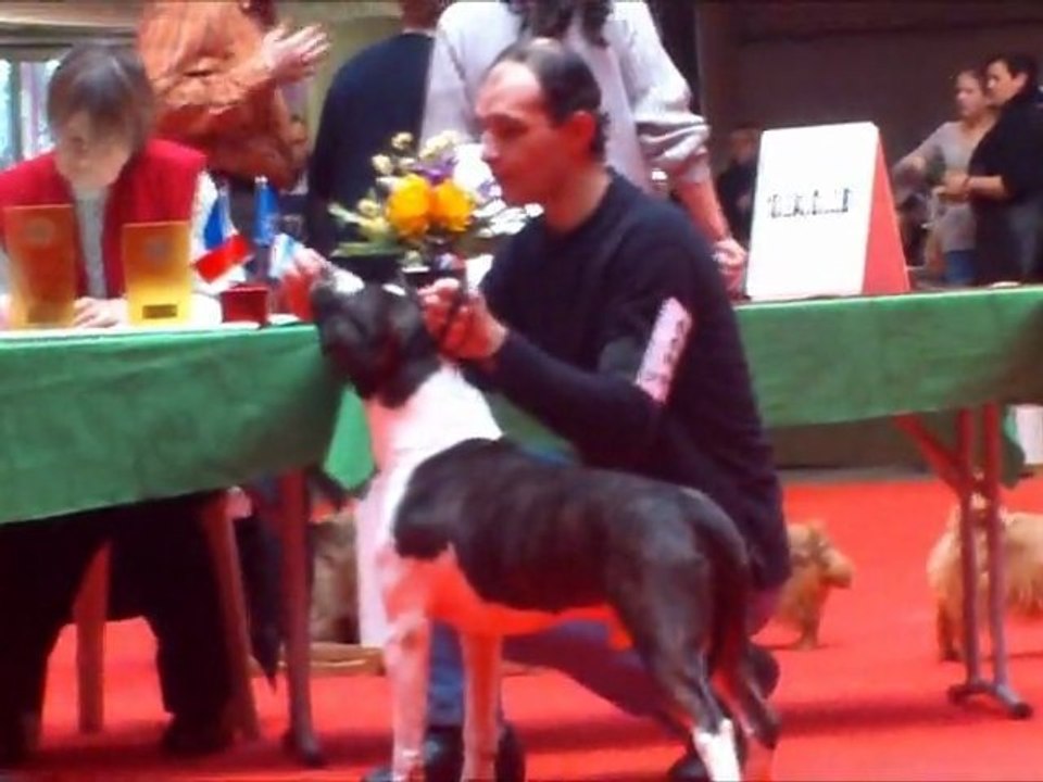 junior bourges 2011