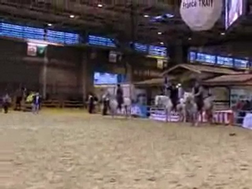 le beau cheval de camargue !!!