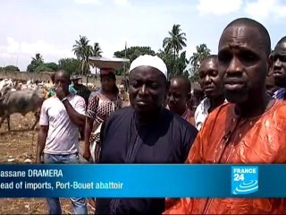 Ivory Coast: when politics leads to paralysis