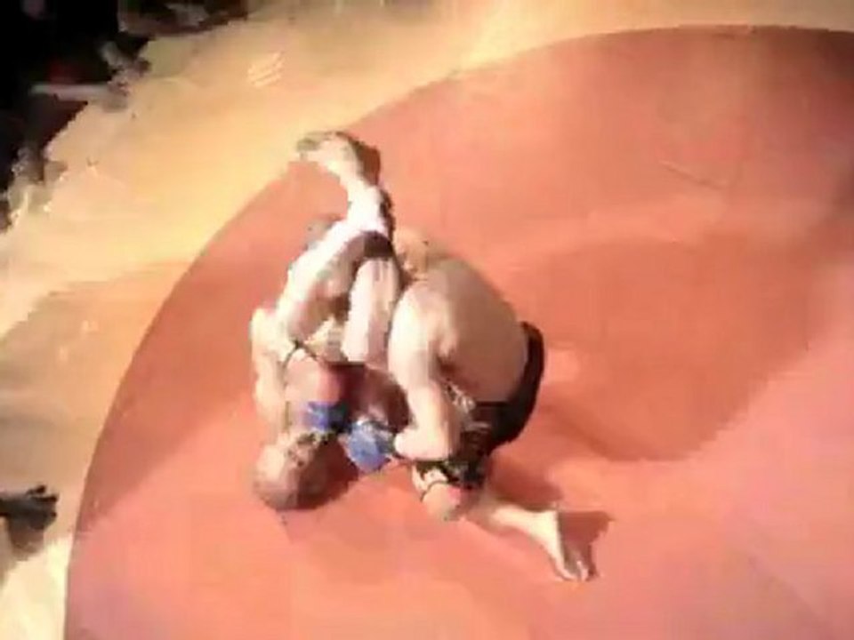 Bloodsport The Red Canvas