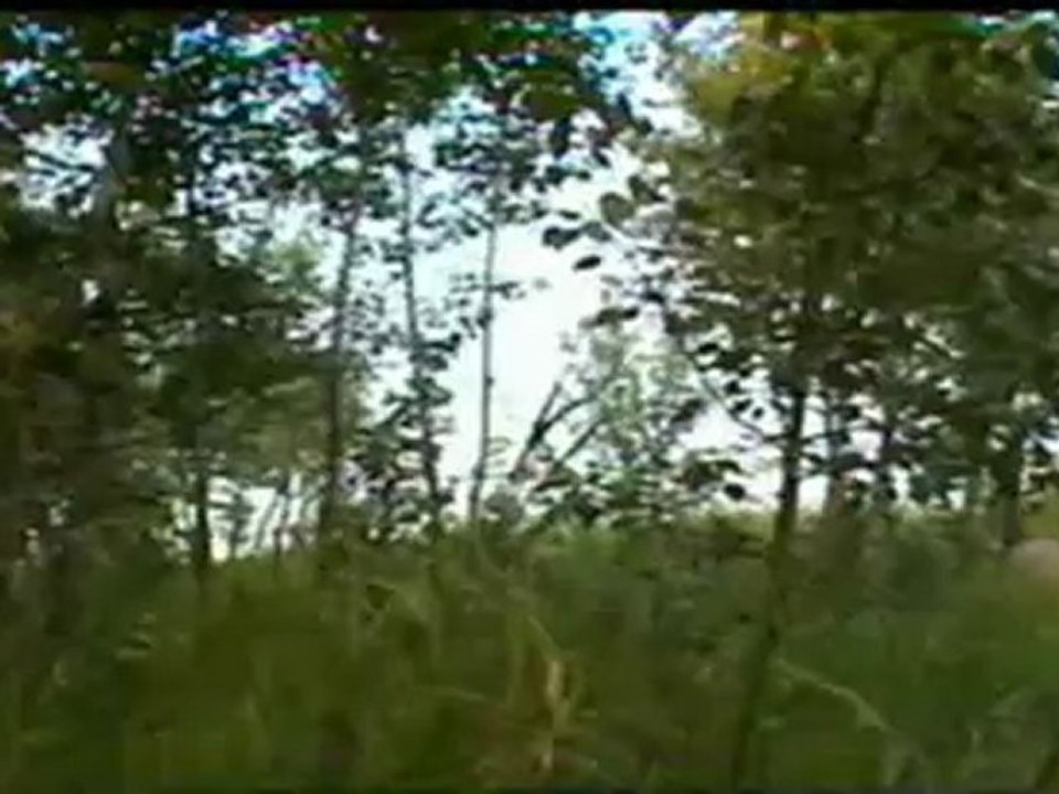 vid clips