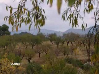 WRC RALLY SPAIN SATURDAY OCT 6 PT2