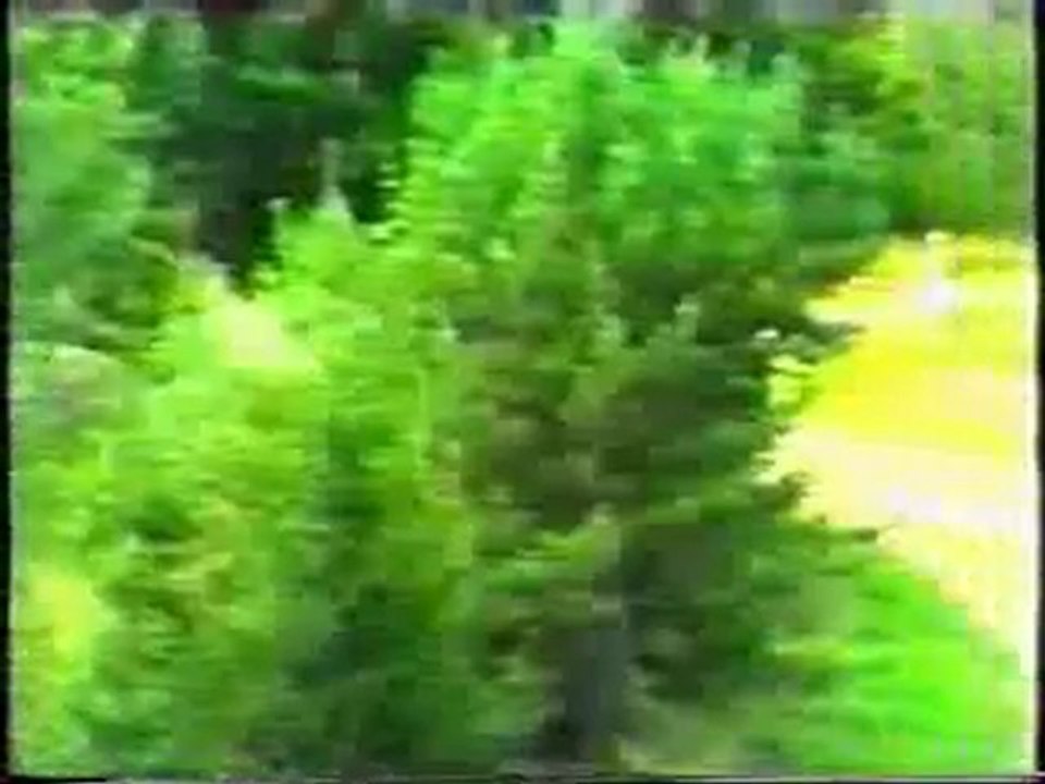 Some rally racing crashes