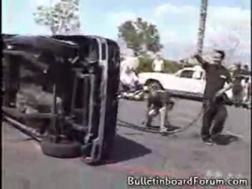 we like the cars that go boing!