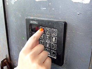 В траве сидел кузнечек