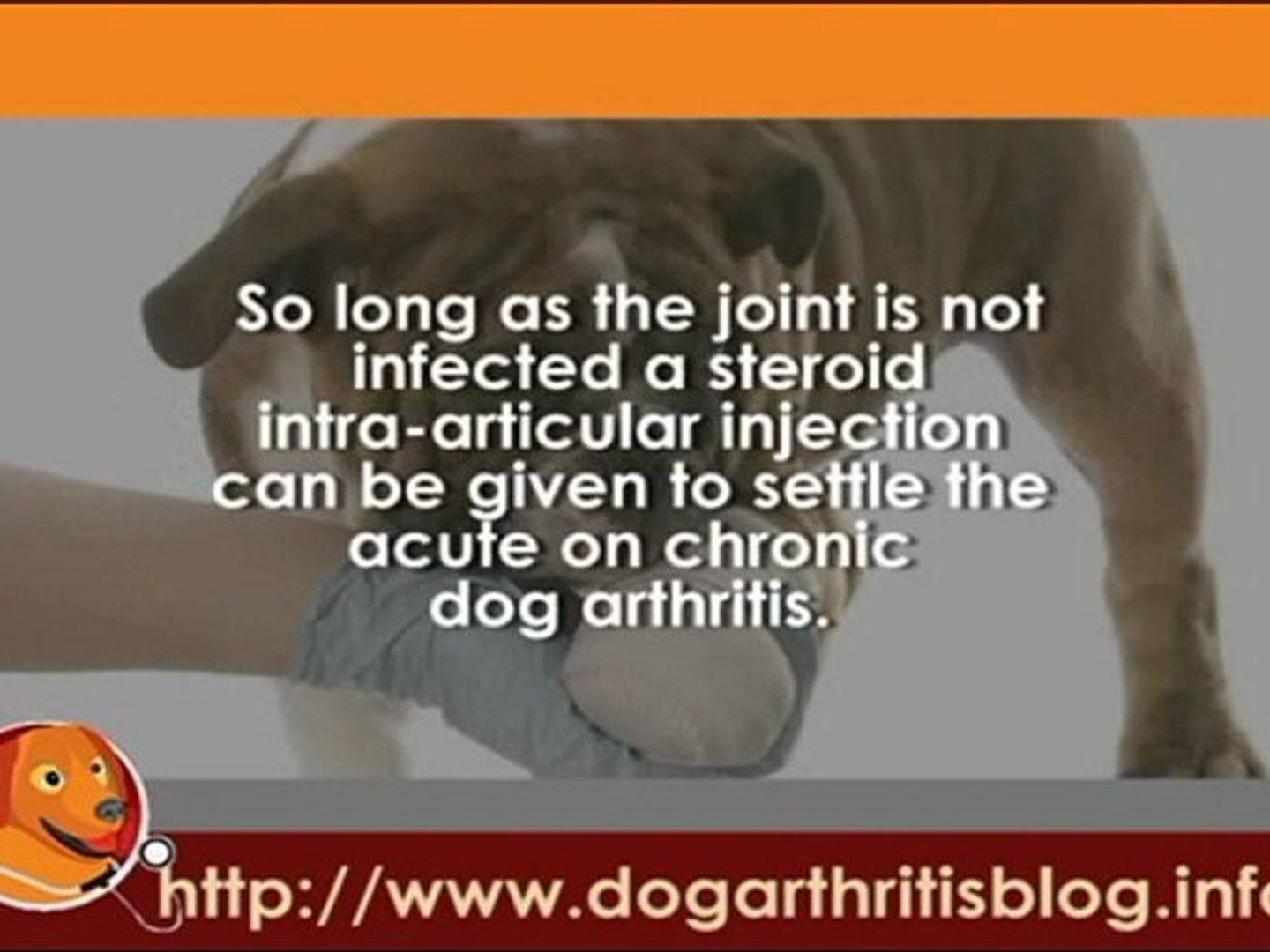 How Long Does A Steroid Injection Last In A Dog