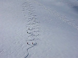 La Grave – La Meije #06 hors-piste Glacier de la Girose