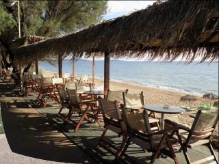 Παραλίες στην Ηλεία