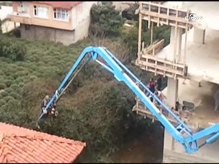 Mandalina ağacını beton vinci ile topladılar