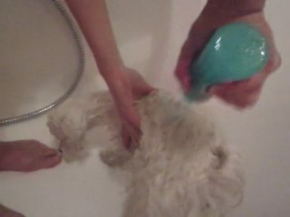 Cerise prends un bain Pouuaah Ahaha .. :P  ♥