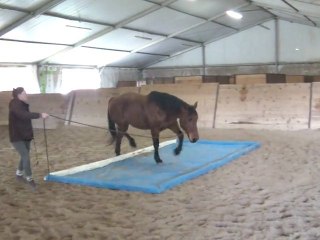 16.02.2011 Degré 2 Marie-Amance avec Ténébra