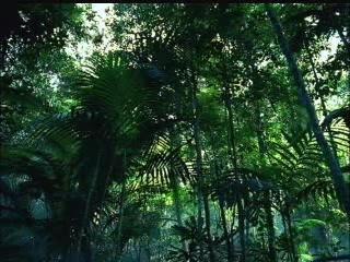 Pub tv jap pour Metal gear solid 3