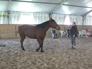 16.02.2011 Degré 2 Marie-Amance avec Ténébra