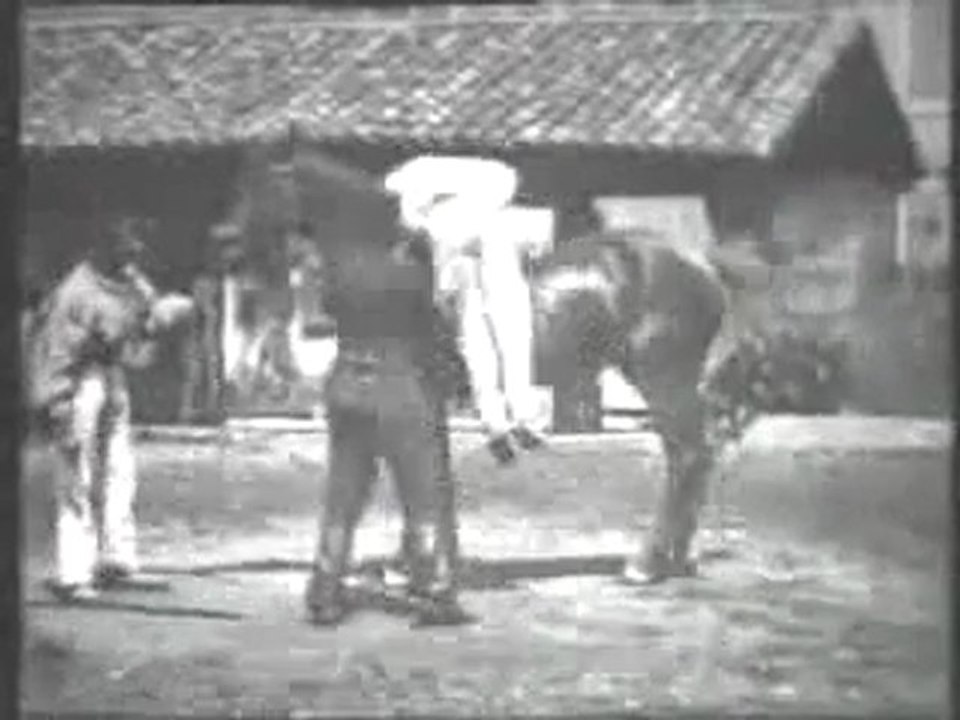 La voltige (1895) - Frères Lumière