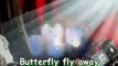 Butterfly fly away-Miley Cyrus-Official Music Video W/L