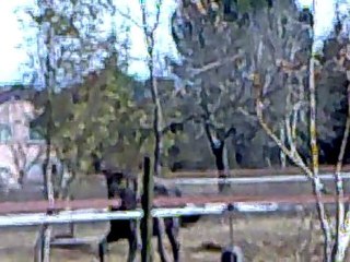 Rih avec son seau au terrain 19022011