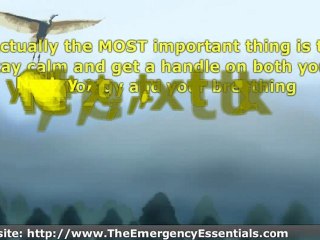 Survival Shelters - How to Stay Alive In the Brutal Elements